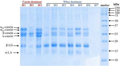 Investigation of the gastric digestion behavior of commercial infant formulae using an in vitro dynamic infant digestion model